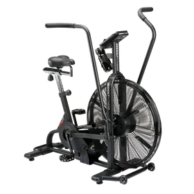 Assault Air Bike Classic