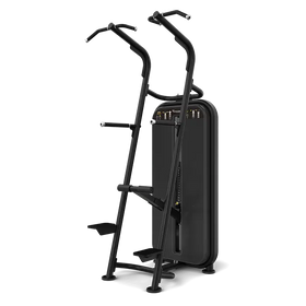 Vision Fitness - Chin / Dip Assist S601
