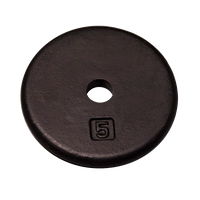 5lbs Standard Steel Plate