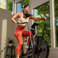 Assault Air Bike Classic