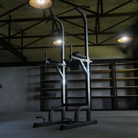 IRONAX XKR Vertical Knee Raise/Chin Up VKR