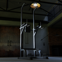 IRONAX XKR Vertical Knee Raise/Chin Up VKR