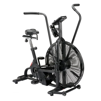 Assault Air Bike Classic