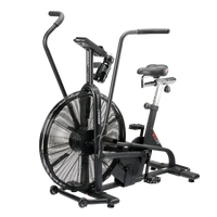 Assault Air Bike Classic