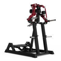 Element Fitness - Chromium 103 Standing Lateral Raise