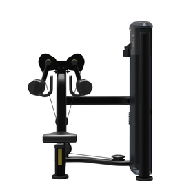Element Fitness - 9524 Lateral Raise MERCURY BLACK 200lbs