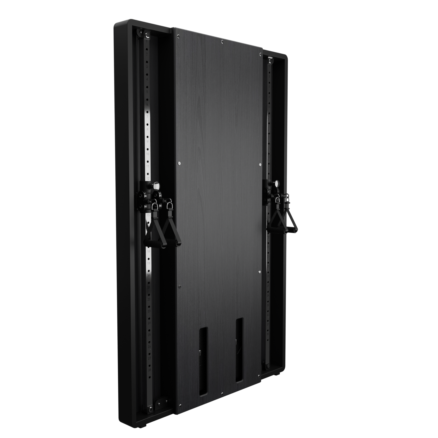 Flow 6 Black -  Wall Mounted Functional Trainer