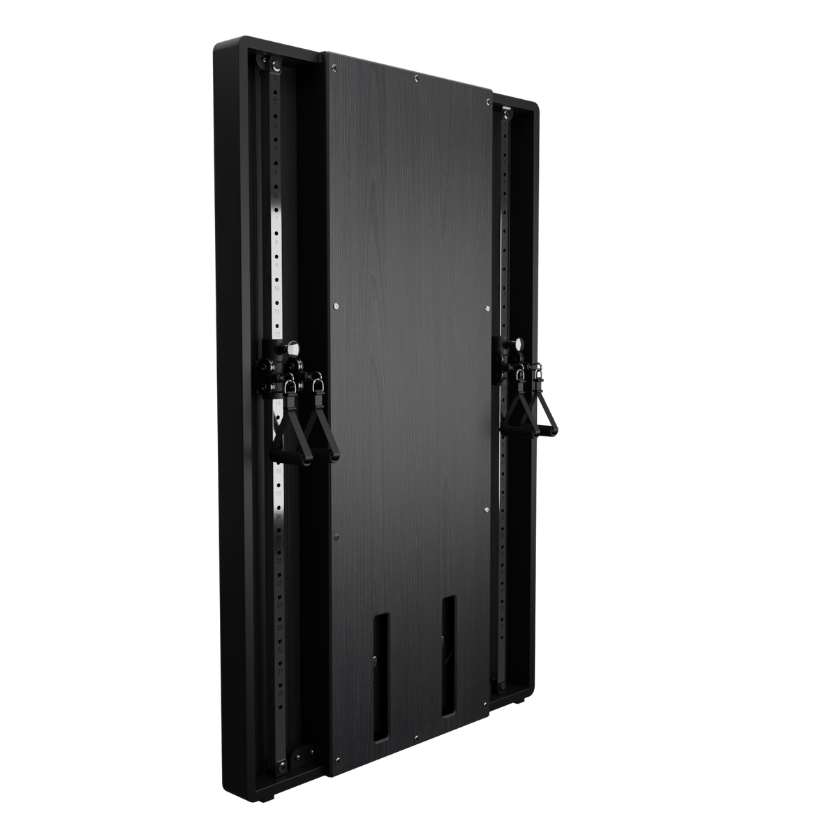 Flow 6 Black -  Wall Mounted Functional Trainer