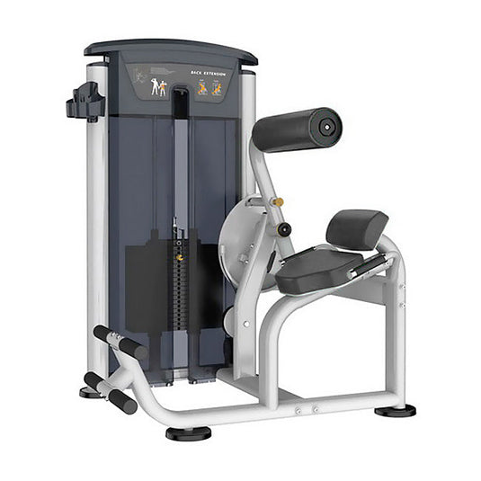 Core/ABS/Back Workout Machines