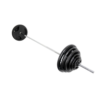 Mega Fitness - 1" Standard Steel Plate 265lbs Set with 84" Bar