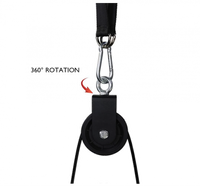 Ironax Portable Lat and Lift Pulley System