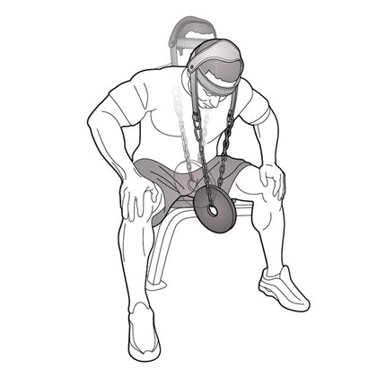 PRO-18 NYLON PADDED HEAD HARNESS