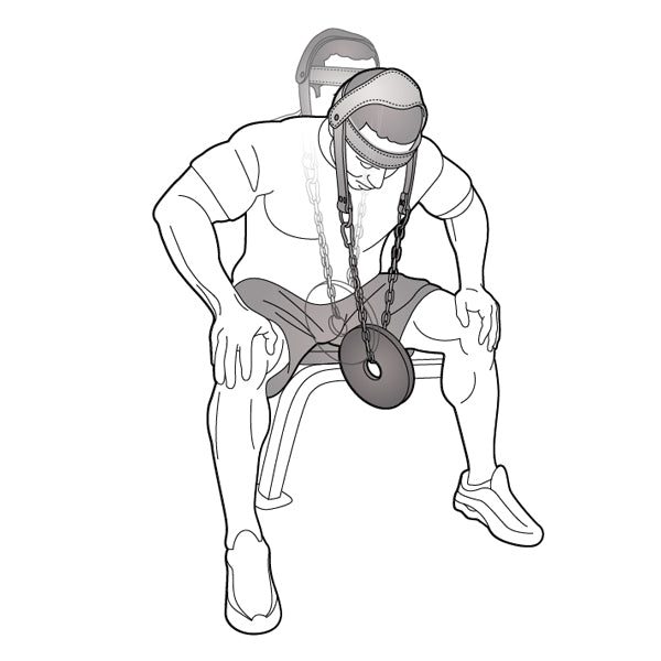 PRO-18 NYLON PADDED HEAD HARNESS