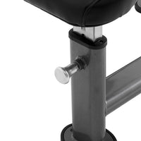 Element Fitness Preacher Curl Bench