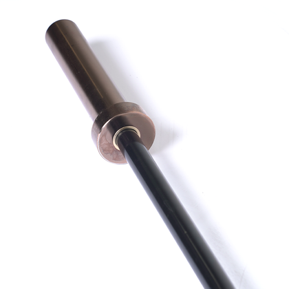 XM GOLD RACKABLE EZ CURL BAR