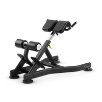 Vision Fitness - Back Extension Bench FW52