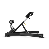 Vision Fitness - Back Extension Bench FW52