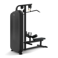 Vision Lat Pulldown / Seated Row S331