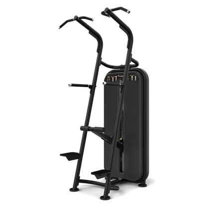 Vision Fitness - Chin / Dip Assist S601