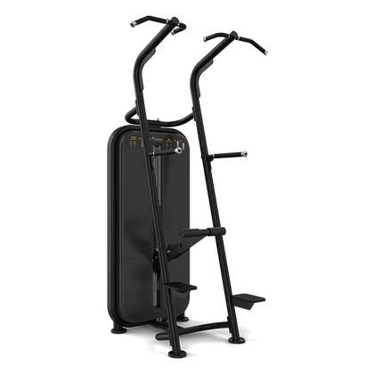 Vision Fitness - Chin / Dip Assist S601