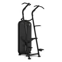 Vision Fitness - Chin / Dip Assist S601