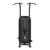 Vision Fitness - Chin / Dip Assist S601